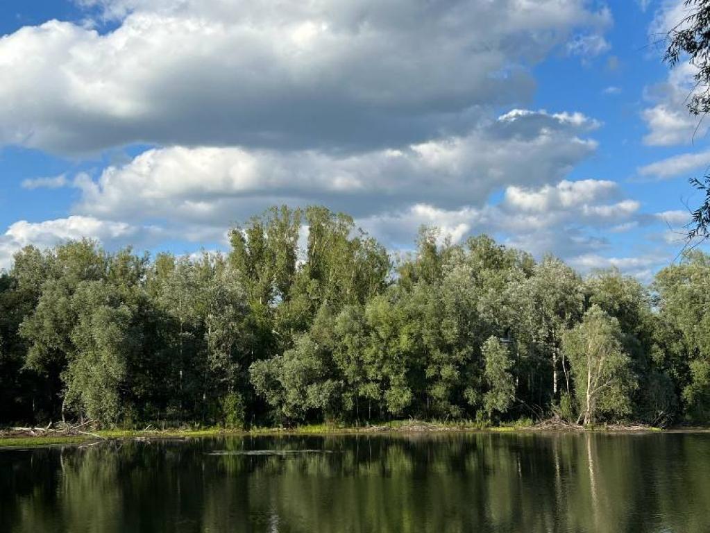 Столица Мира
