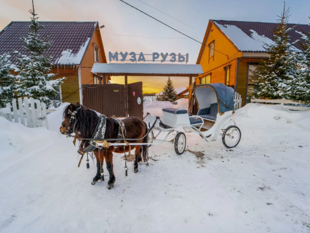 Муза Рузы