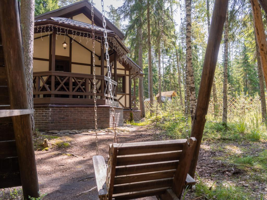 Шишки на Лампушке