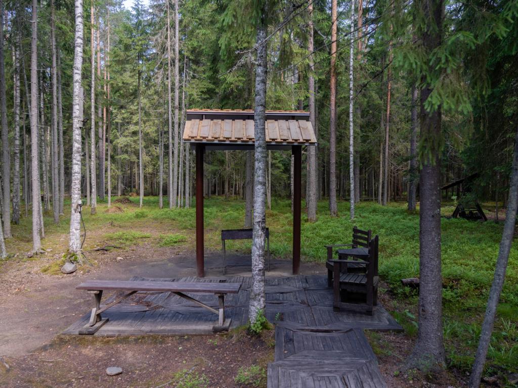 Шишки на Лампушке