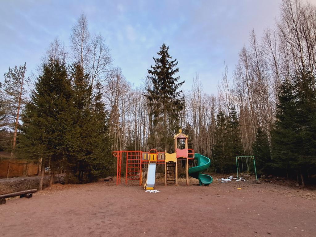 Дом с видом на еловый лес