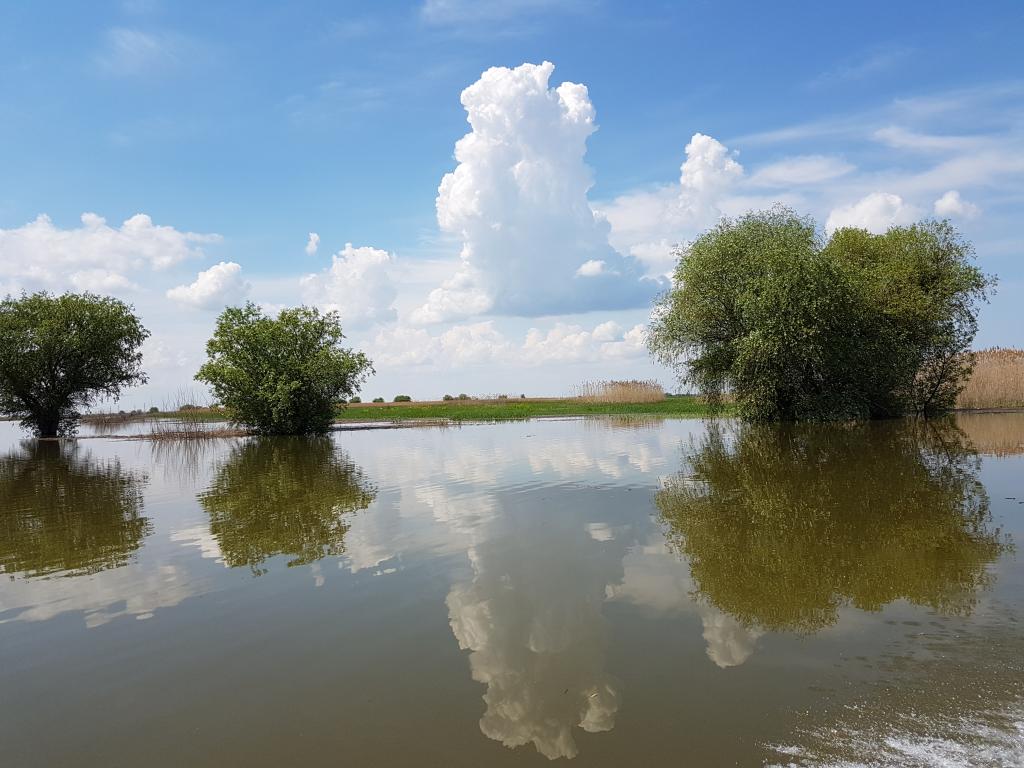 Дом у реки