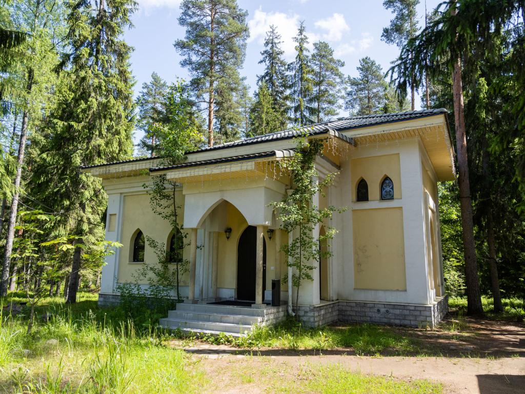 Шишки на Лампушке
