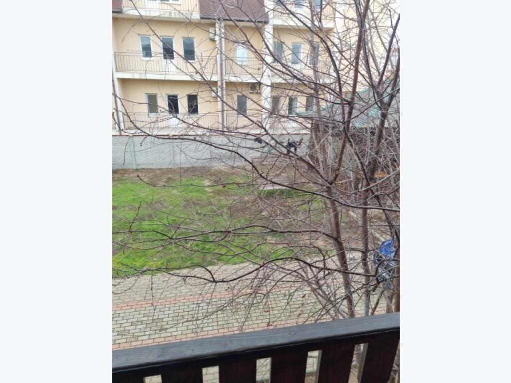 Северная Аврора