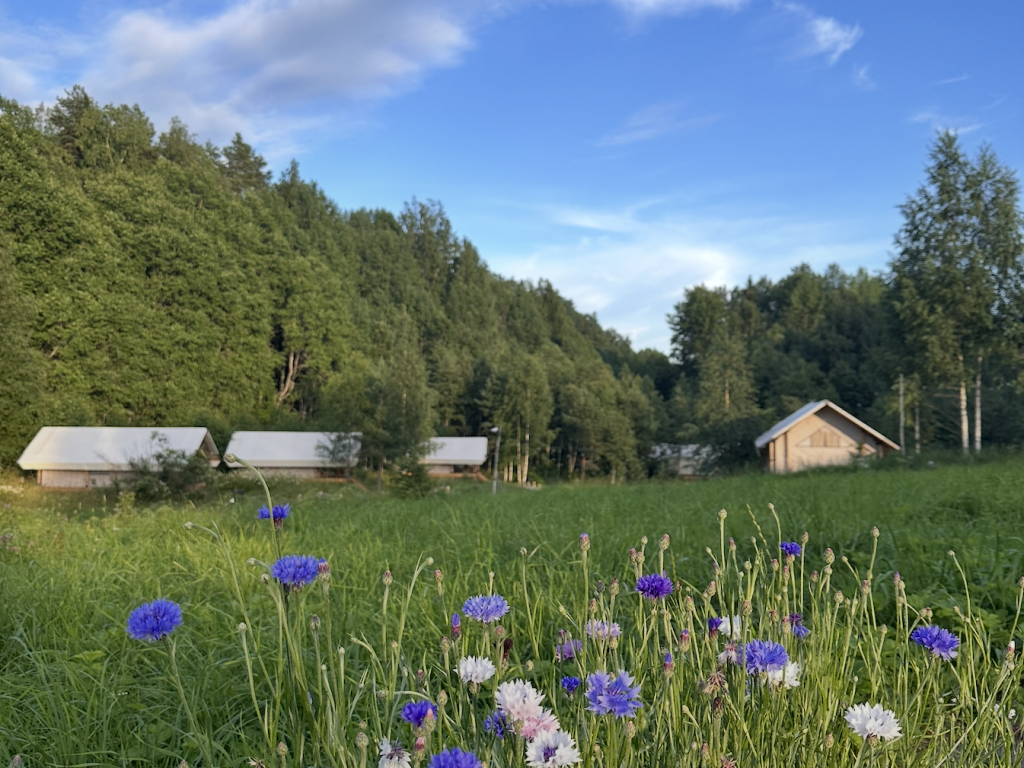Marmar (Мармар)