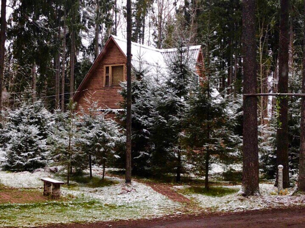 Конни