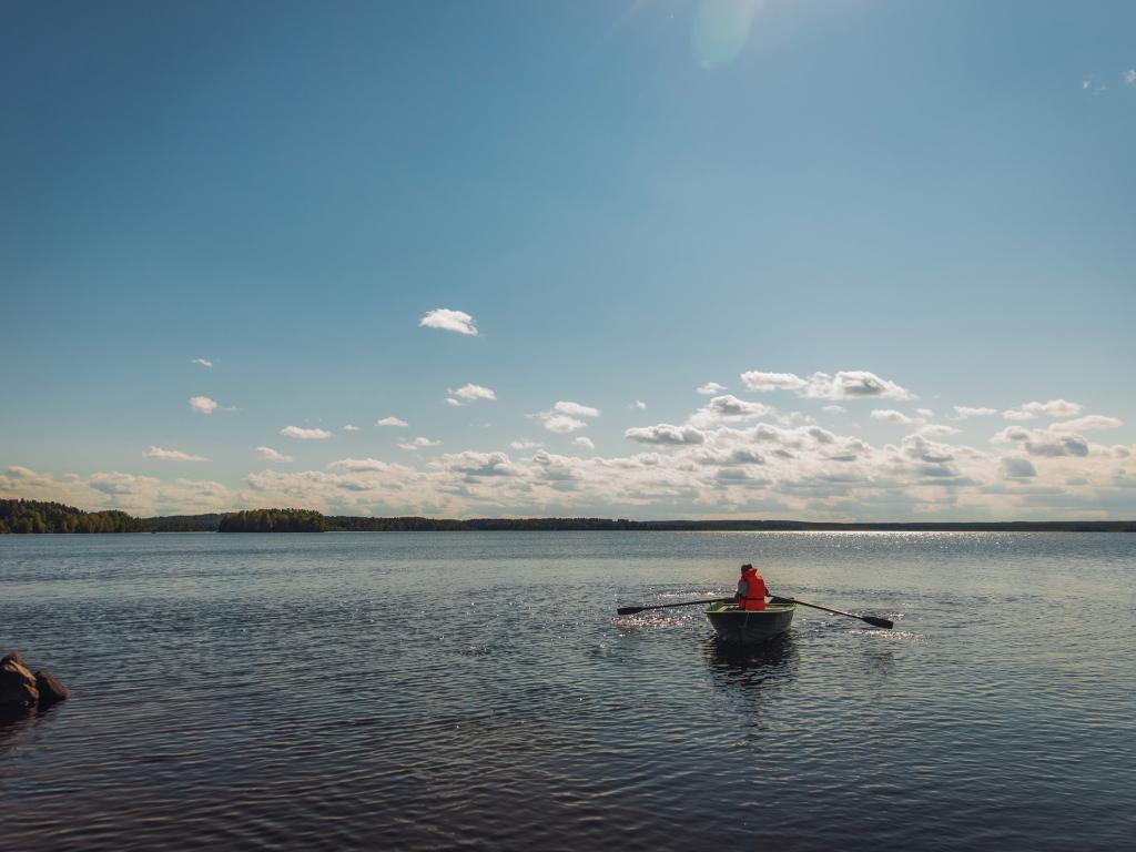 Загородный дом MAASJARV (бывш. На недельку до второго)