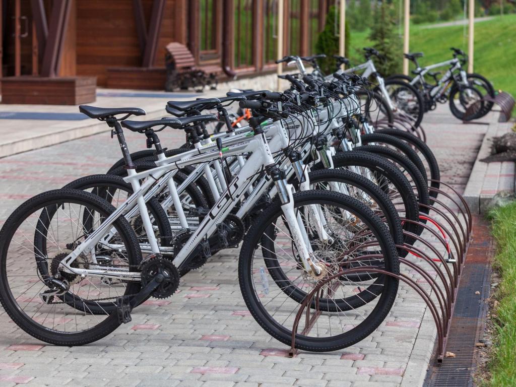 Космос Коллекшн Алтай Резорт (Cosmos Collection Altay Resort)