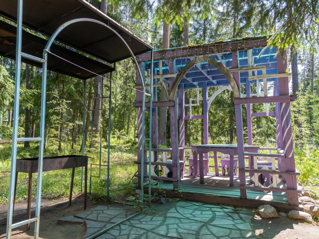 Шишки на Лампушке