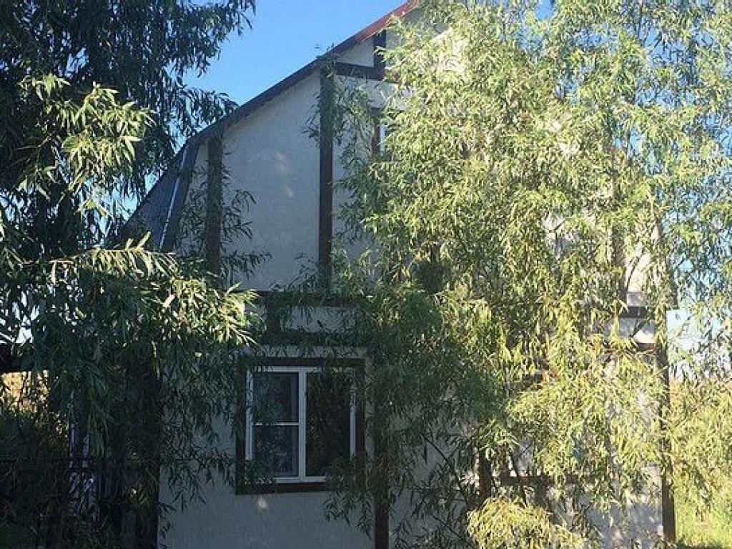 Седьмая жилка