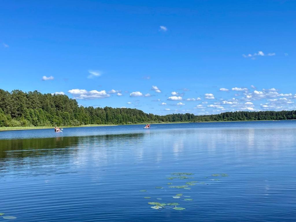 Велино