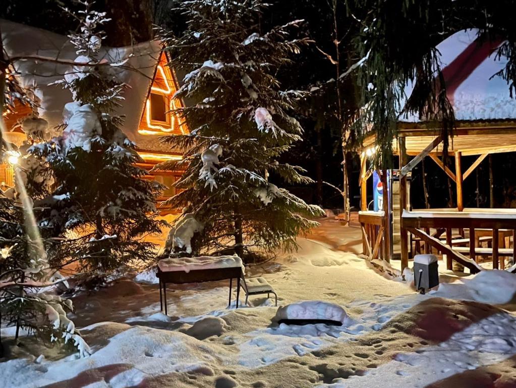 Конни
