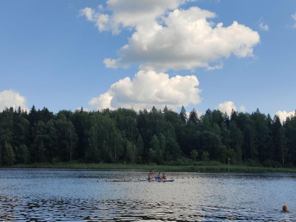 Добрый дом в Курилово