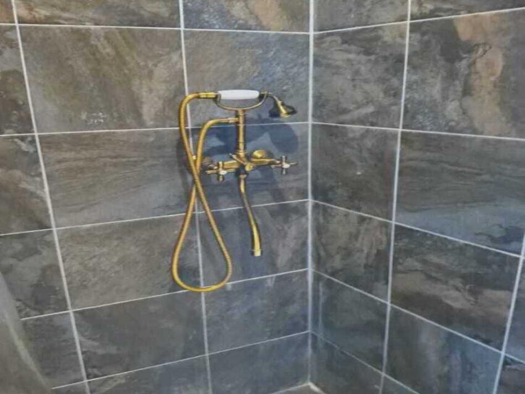 Древопаркъ