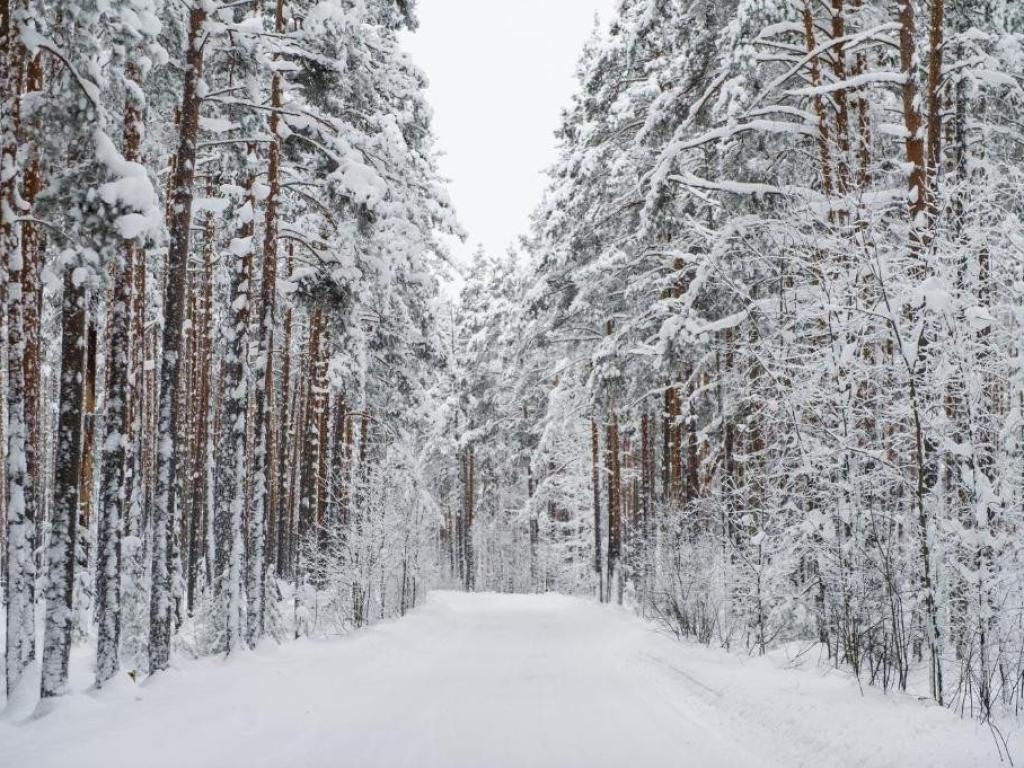 Загородный клуб Дача