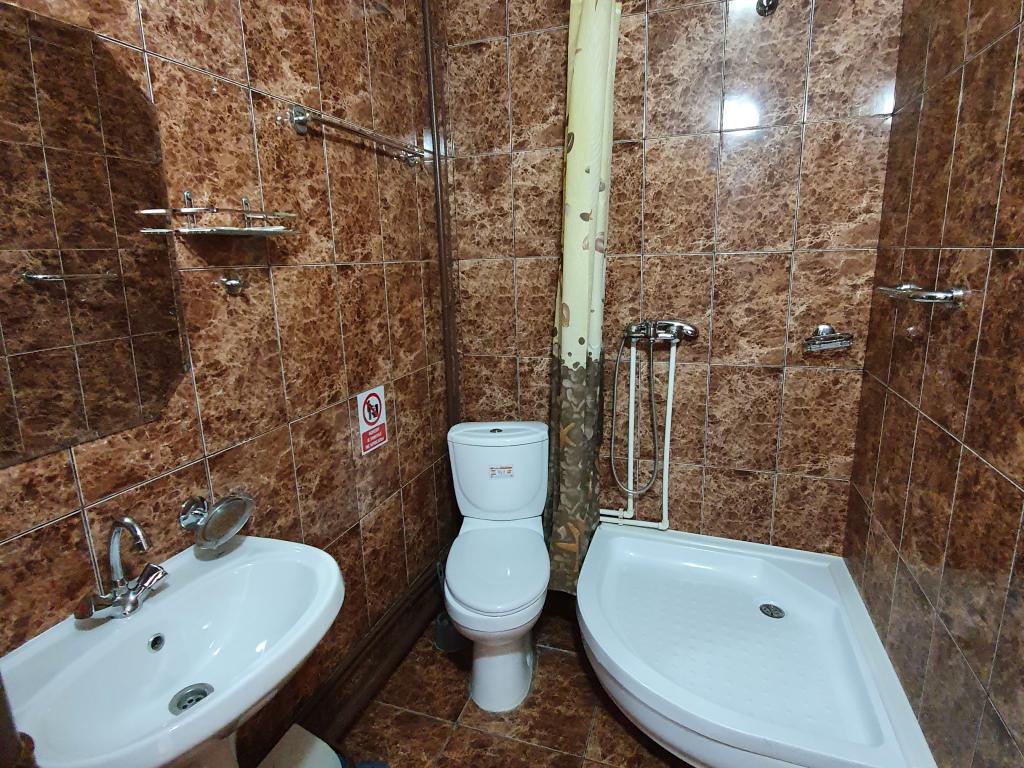 Сова