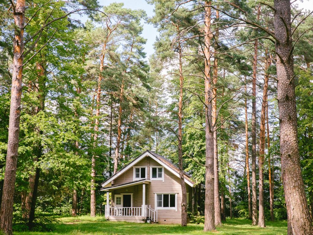 Загородный отель Pine River (Пайн Ривер)