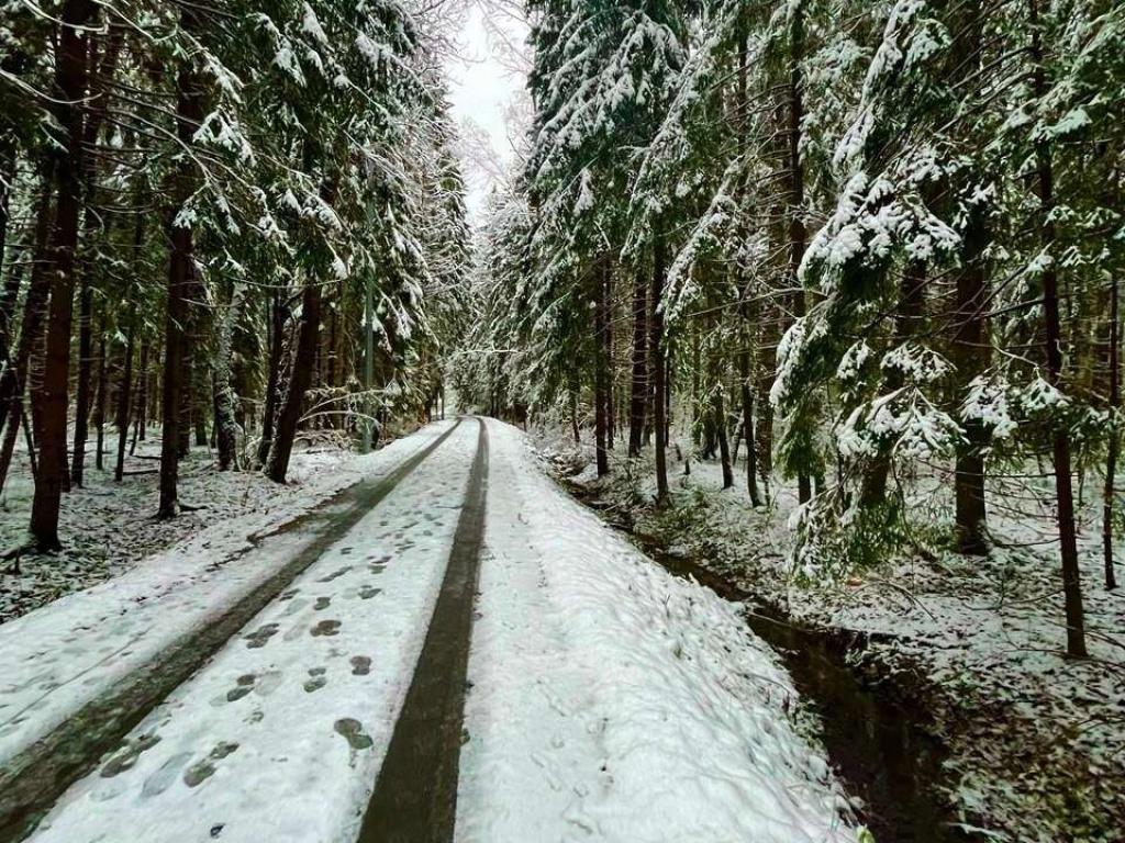 Дом в заповедной лесной зоне