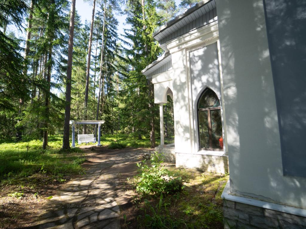 Шишки на Лампушке