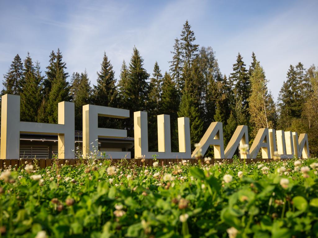 Лесной отель Нешалаши