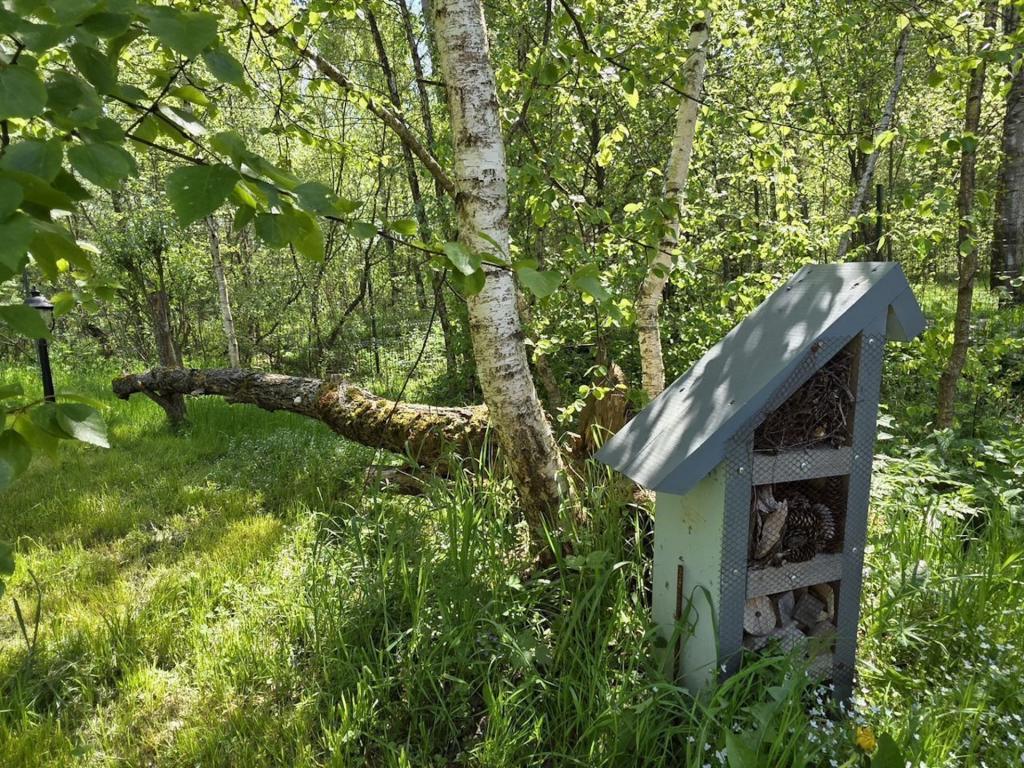 Дом в поселке Изумрудные холмы
