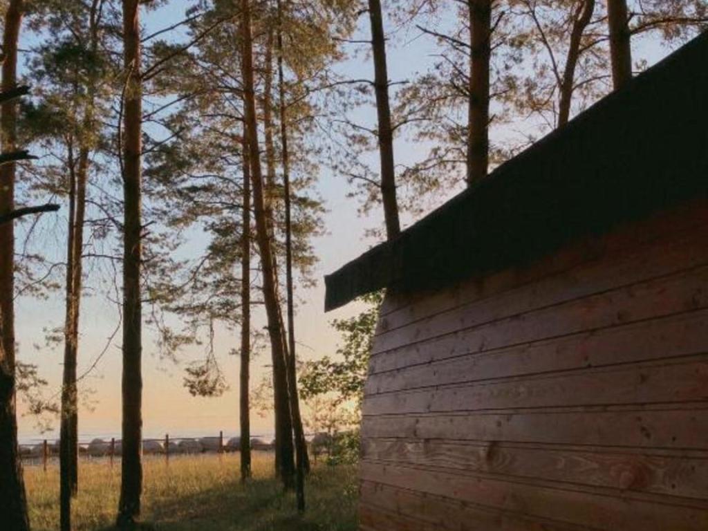 Серф-станция Винд Хантерс (Wind Hunters Station)