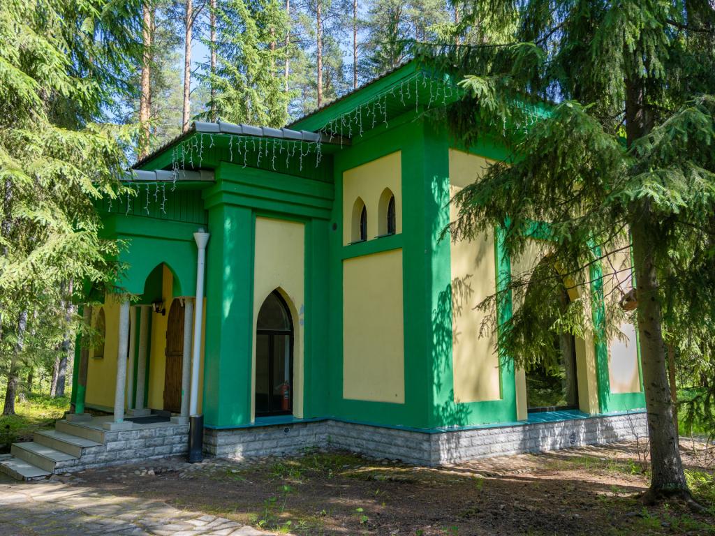 Шишки на Лампушке