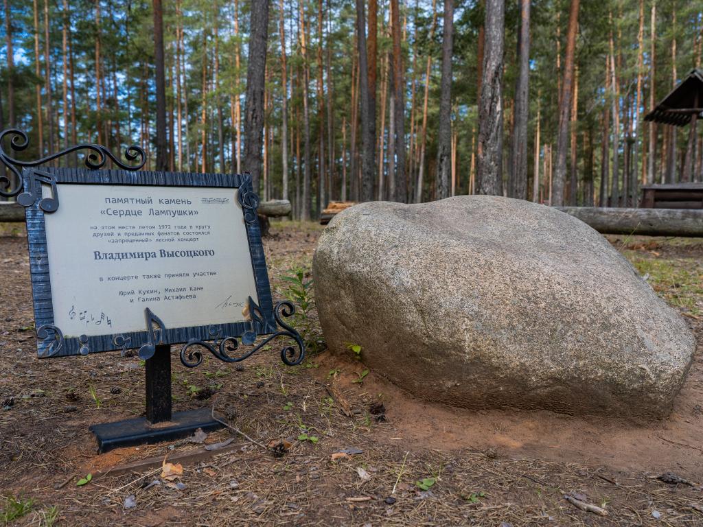 Шишки на Лампушке