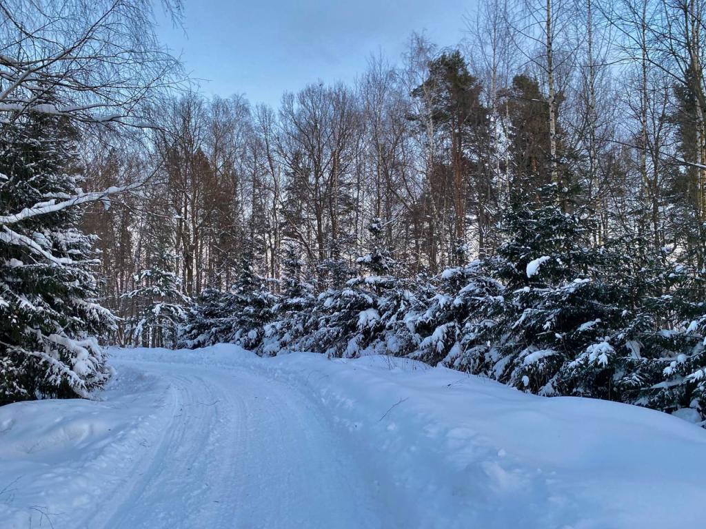 Якунино Дача