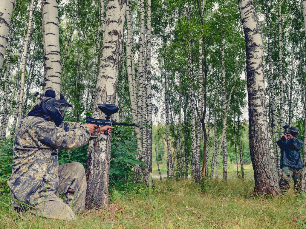 Лесное