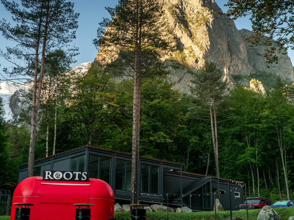 Roots (Рутс)