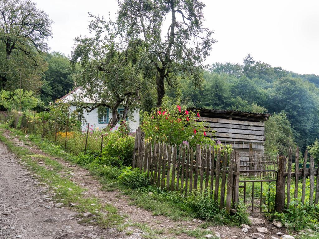 Экокемпинг Груша
