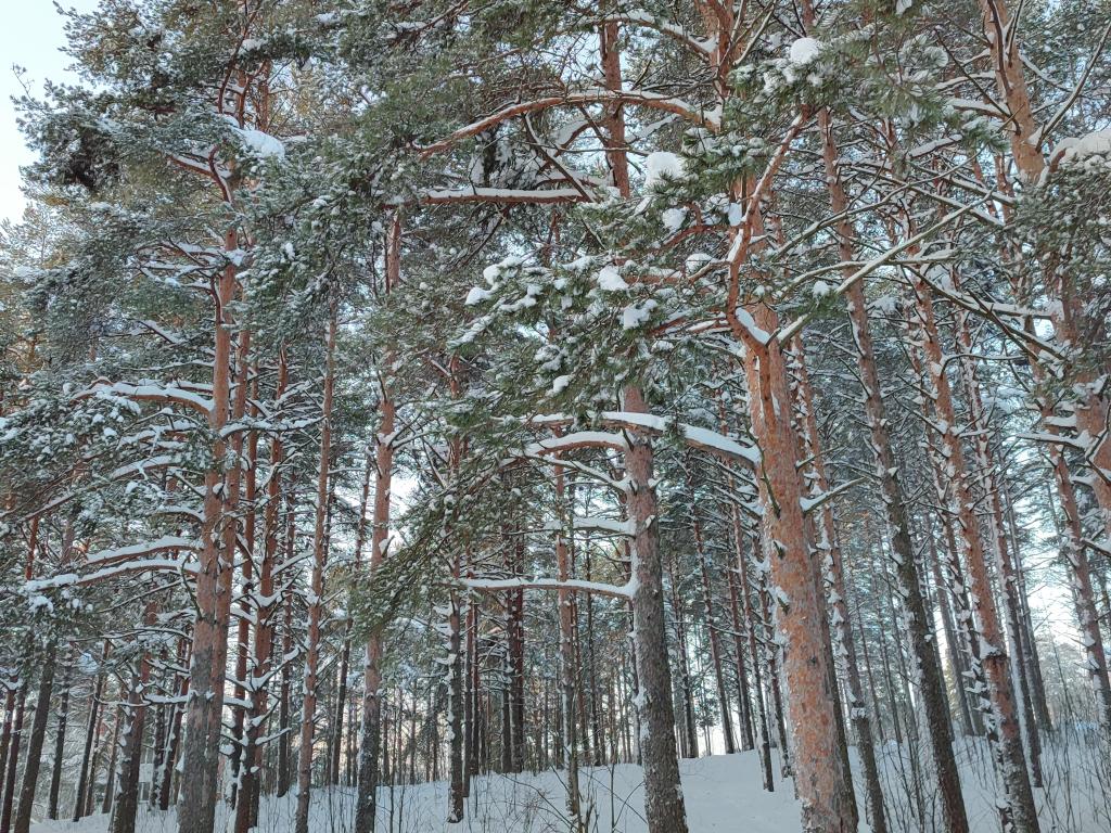 Карельский мыс