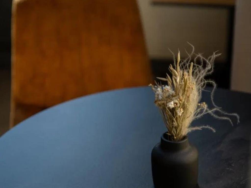 Roots (Рутс)