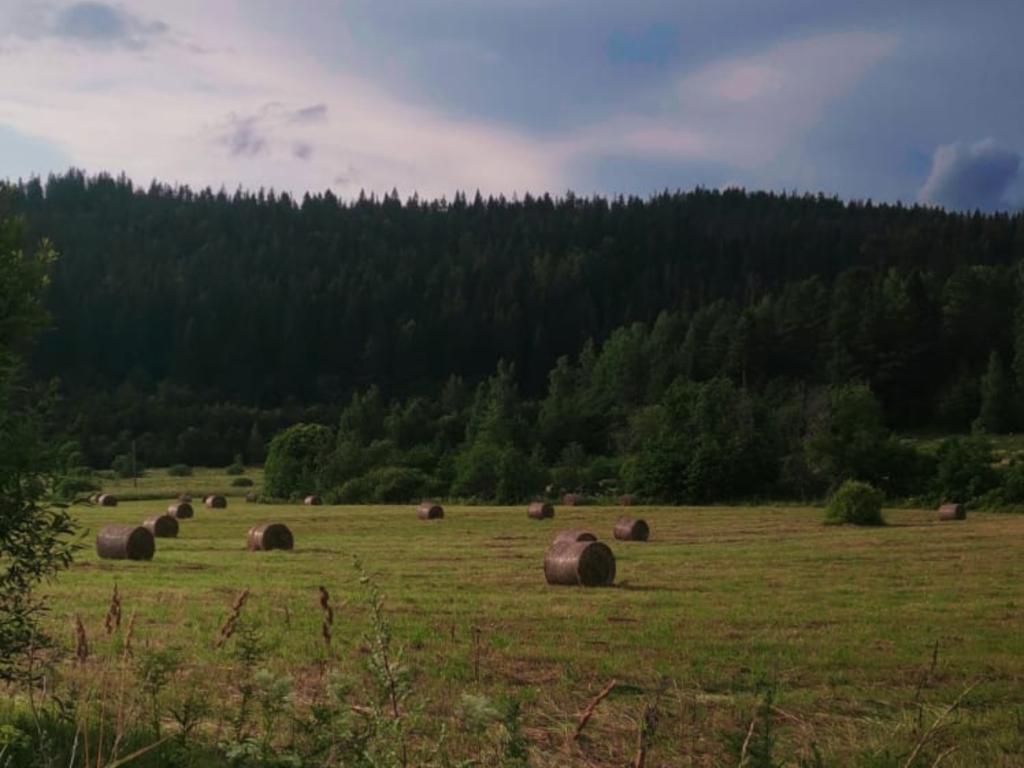 Тихий Каньон