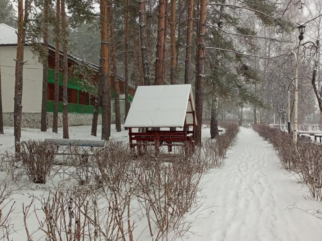 Алмаз