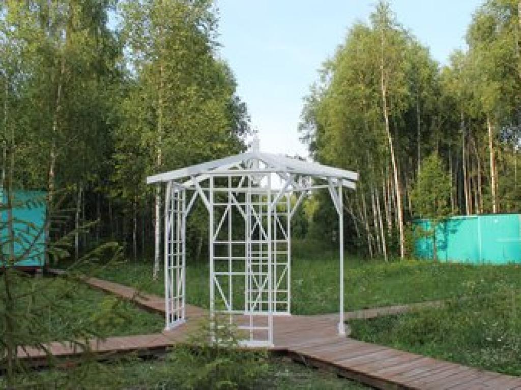 Лесной сон