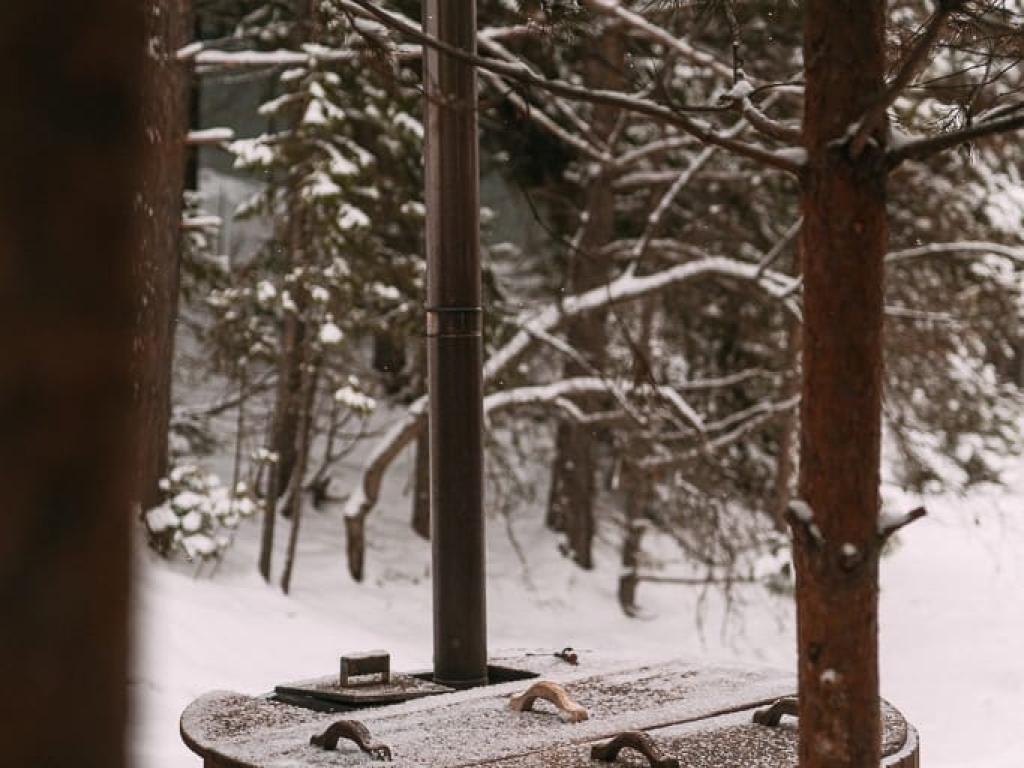 Хвойная хижина