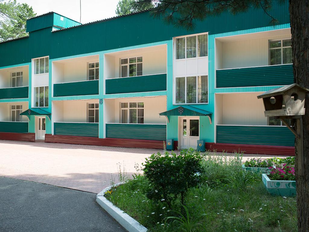 Кедровый бор