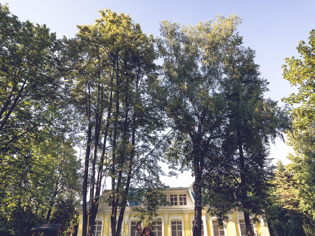 Лесное