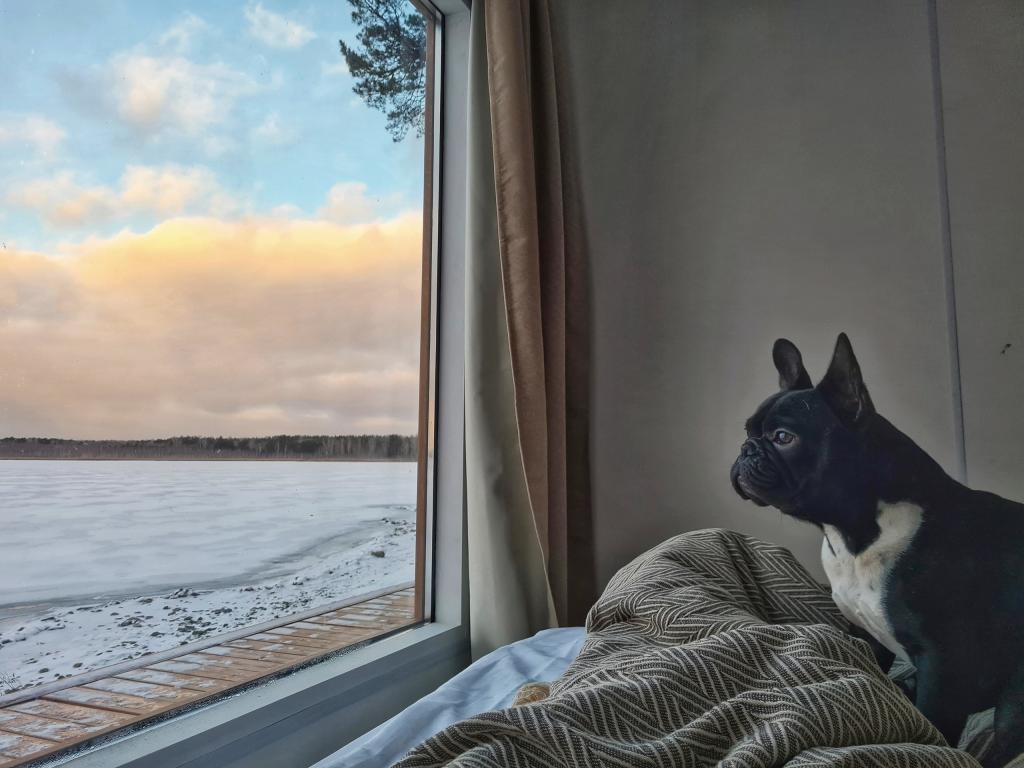 Загородный клуб Лесная сказка