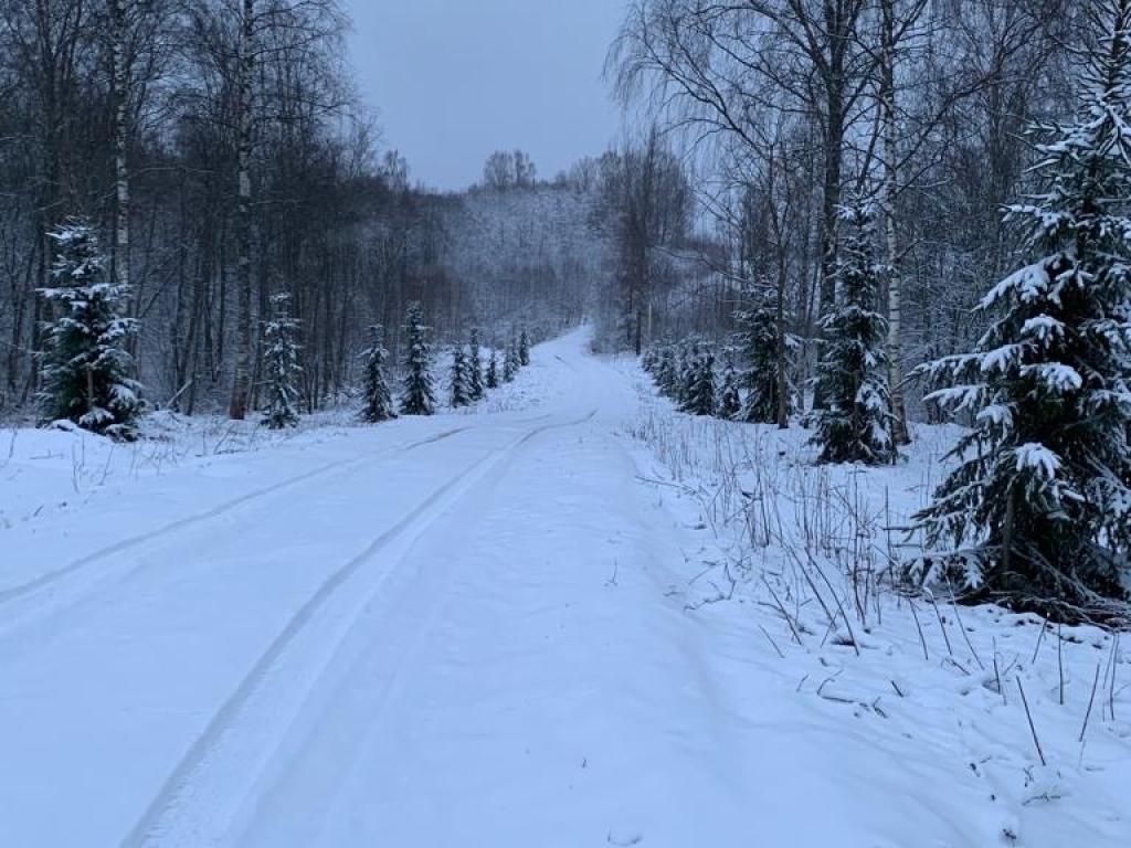 Хутора на озере Алё
