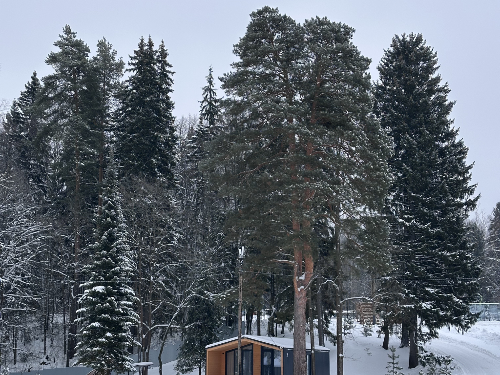 Тюрагай