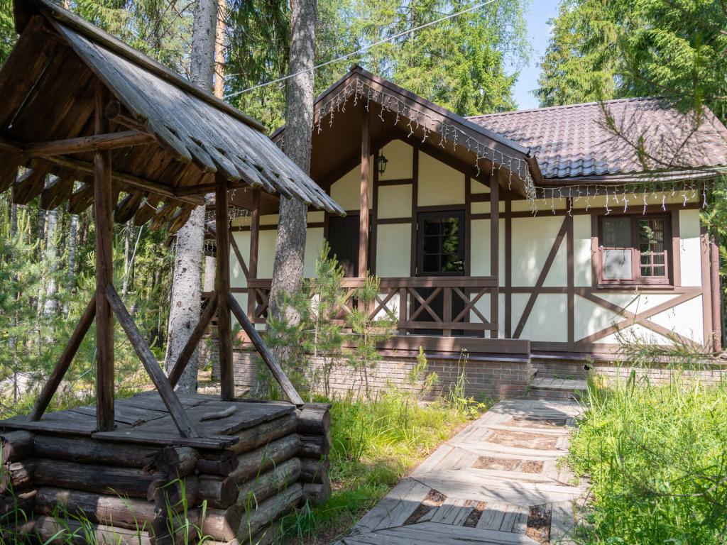 Шишки на Лампушке