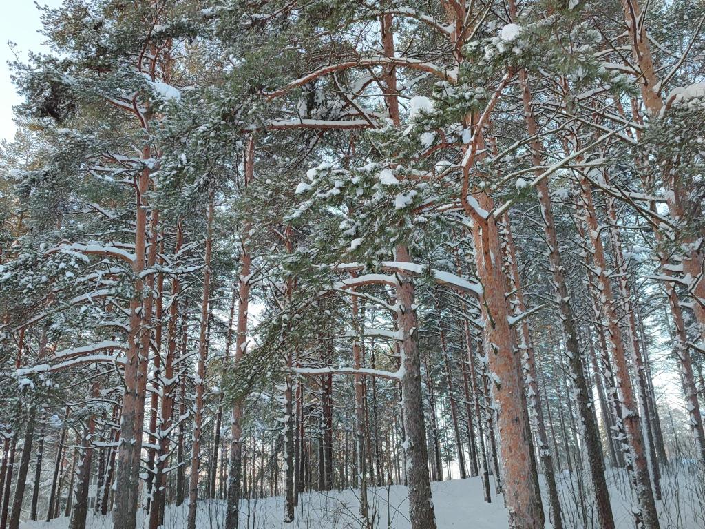 Карельский мыс