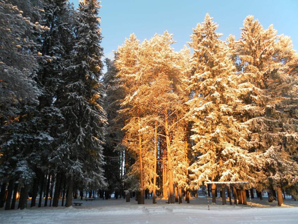 Солониха