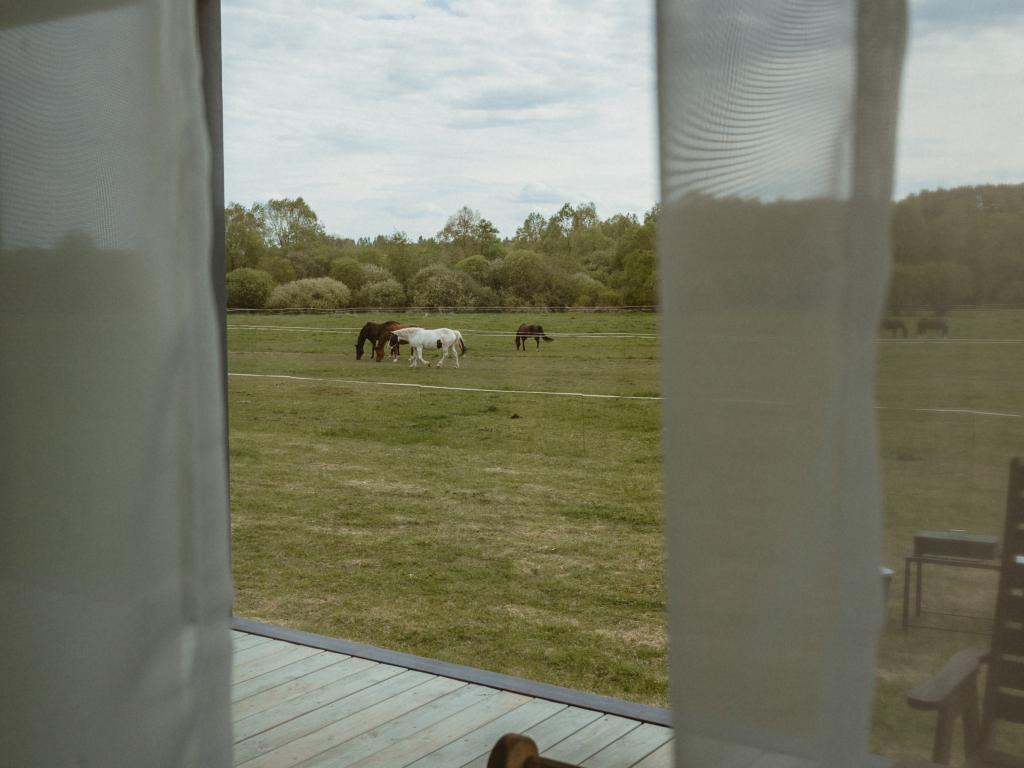 Загородный отель Pine River (Пайн Ривер)
