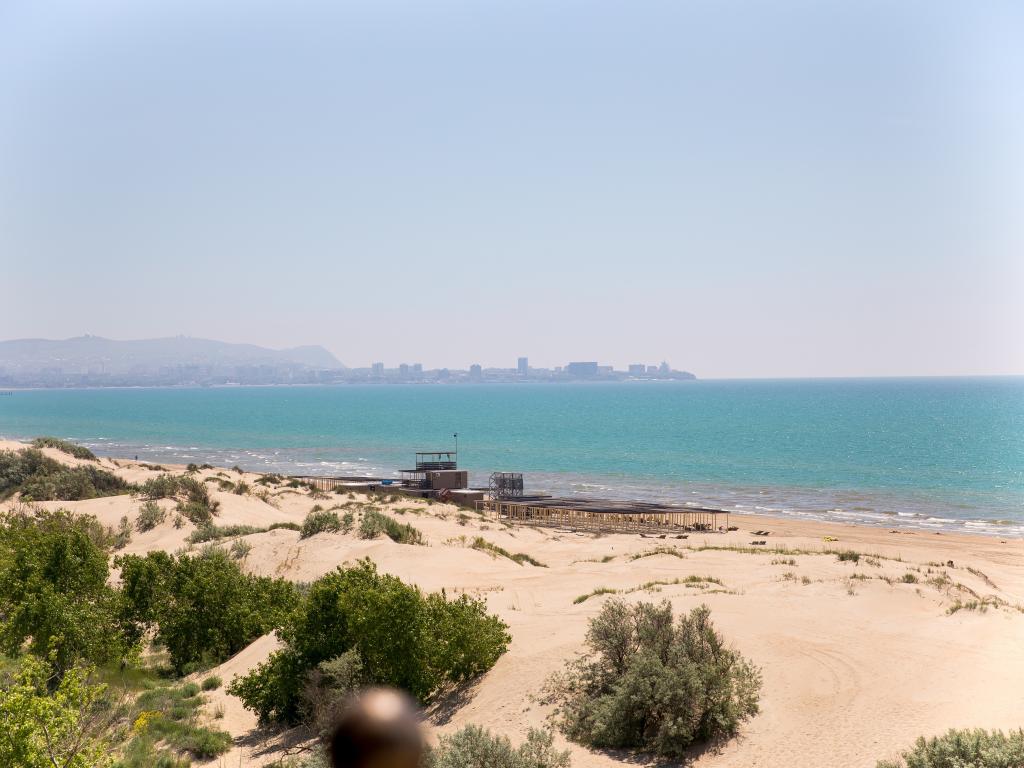 AlfaSummer (АльфаСамер)