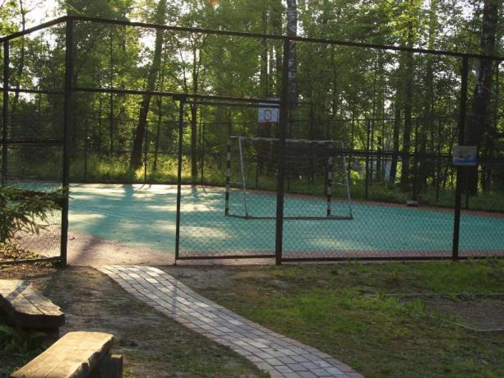 Березовая роща