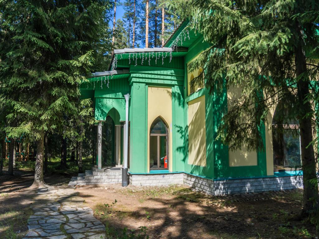 Шишки на Лампушке